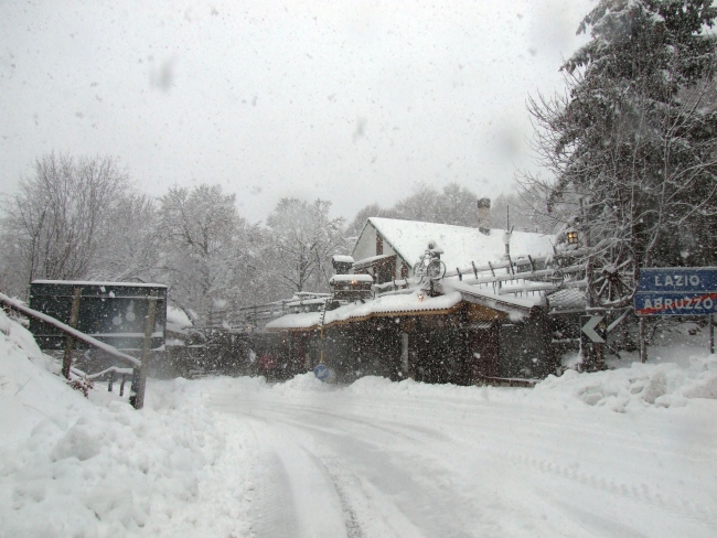 bosco innevato